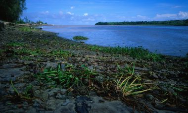 Rivière Pangani en Tanzanie