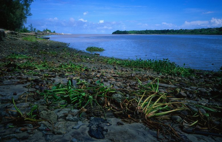 Rivière Pangani en Tanzanie