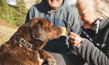 chiens hypoallergéniques