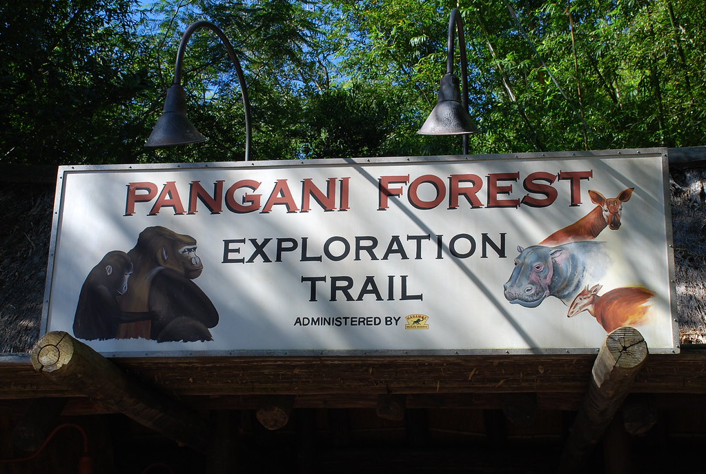 Panneau foret de Pangani