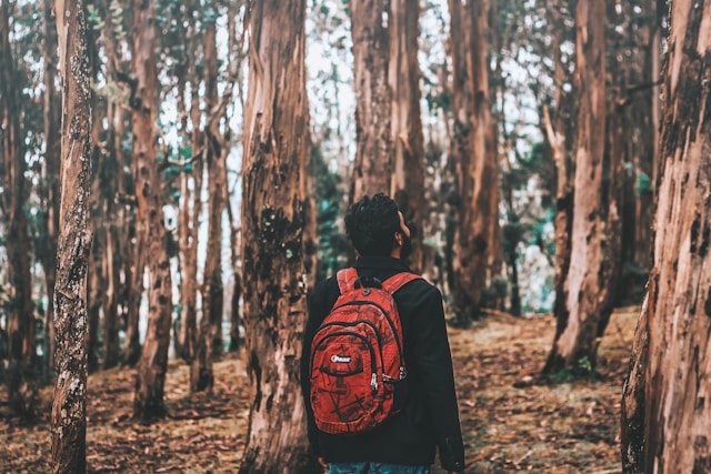 randonnée en forêt