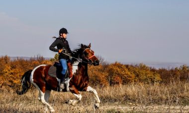 balades à cheval