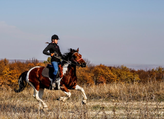 balades à cheval